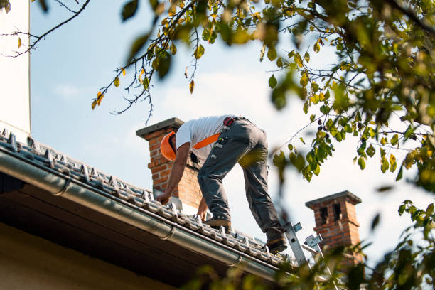 Best Best Roofing Contractors  in Ahoskie, NC
