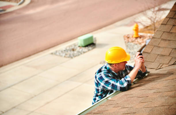 Best Roof Gutter Cleaning  in Ahoskie, NC